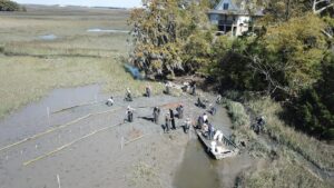 Restoring a Tidal Creek in Maryville