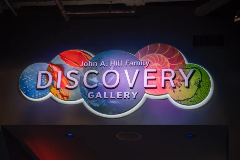 We are proud to share that the South Carolina Aquarium’s new Discovery Gallery is open, and we are honored to have played a role in bringing this exciting new experience to the Lowcountry. The gallery’s debut exhibit, Jurassic Seas, invites visitors to step back into the Late Cretaceous Period through interactive learning, immersive displays, and larger-than-life prehistoric marine creatures. The Discovery Gallery was designed to create new opportunities for exploration and education. Thank you to our long-term partners at the Aquarium and our project team for trusting us with this special project.