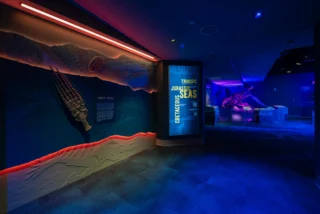We are proud to share that the South Carolina Aquarium’s new Discovery Gallery is open, and we are honored to have played a role in bringing this exciting new experience to the Lowcountry. The gallery’s debut exhibit, Jurassic Seas, invites visitors to step back into the Late Cretaceous Period through interactive learning, immersive displays, and larger-than-life prehistoric marine creatures. The Discovery Gallery was designed to create new opportunities for exploration and education. Thank you to our long-term partners at the Aquarium and our project team for trusting us with this special project.