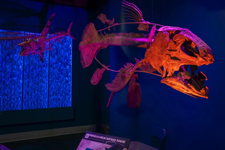 We are proud to share that the South Carolina Aquarium’s new Discovery Gallery is open, and we are honored to have played a role in bringing this exciting new experience to the Lowcountry. The gallery’s debut exhibit, Jurassic Seas, invites visitors to step back into the Late Cretaceous Period through interactive learning, immersive displays, and larger-than-life prehistoric marine creatures. The Discovery Gallery was designed to create new opportunities for exploration and education. Thank you to our long-term partners at the Aquarium and our project team for trusting us with this special project.