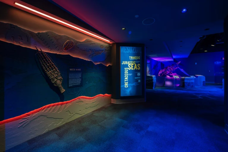 We are proud to share that the South Carolina Aquarium’s new Discovery Gallery is open, and we are honored to have played a role in bringing this exciting new experience to the Lowcountry. The gallery’s debut exhibit, Jurassic Seas, invites visitors to step back into the Late Cretaceous Period through interactive learning, immersive displays, and larger-than-life prehistoric marine creatures. The Discovery Gallery was designed to create new opportunities for exploration and education. Thank you to our long-term partners at the Aquarium and our project team for trusting us with this special project.